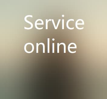 Service Online